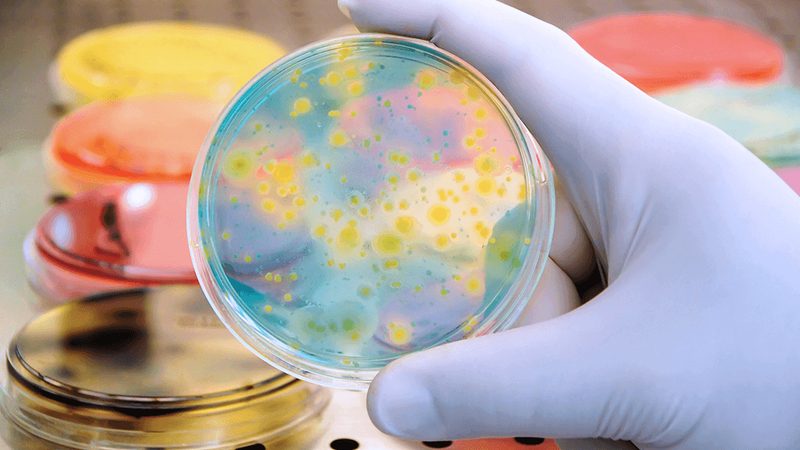 一次性生物反应器定制：揭秘定制化背后的工艺奥秘