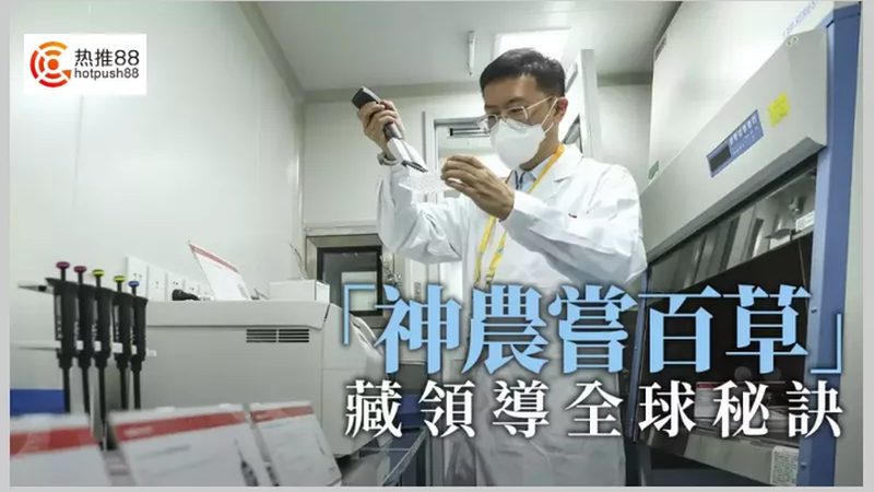 引物合成在分子生物学中的重要性与应用