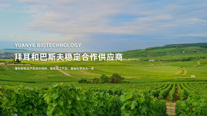 生物制品注册申报费用：揭秘其构成与影响因素**