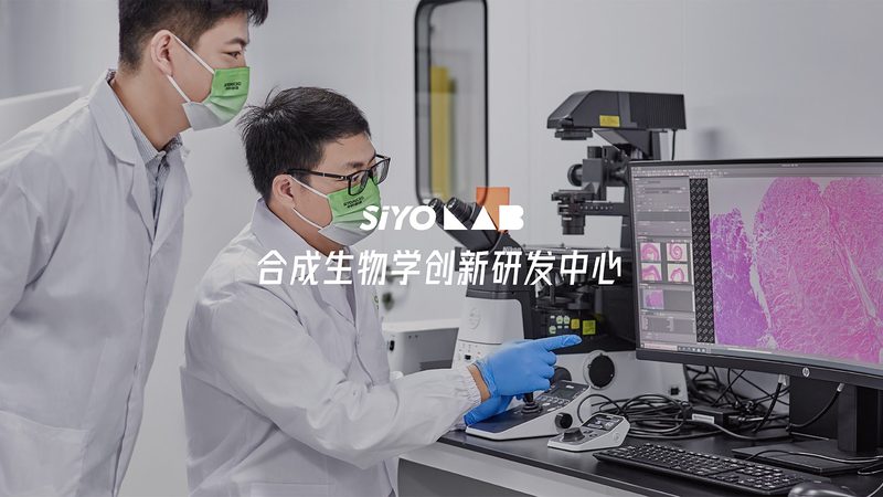 肿瘤基因检测套餐批发报价
