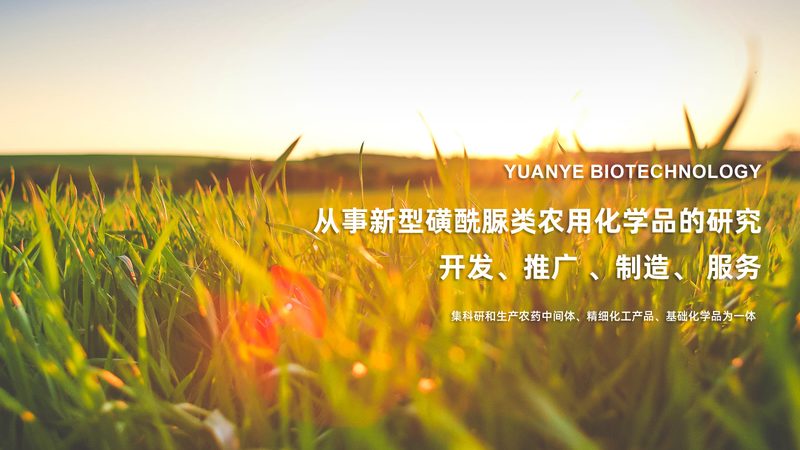 临床前外包服务：揭秘药物研发的“幕后英雄”**