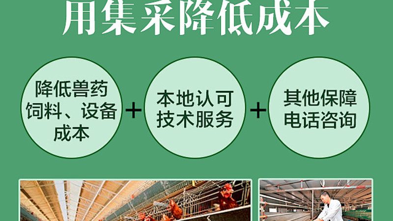 基因测序仪：揭秘其背后的技术原理与选型逻辑