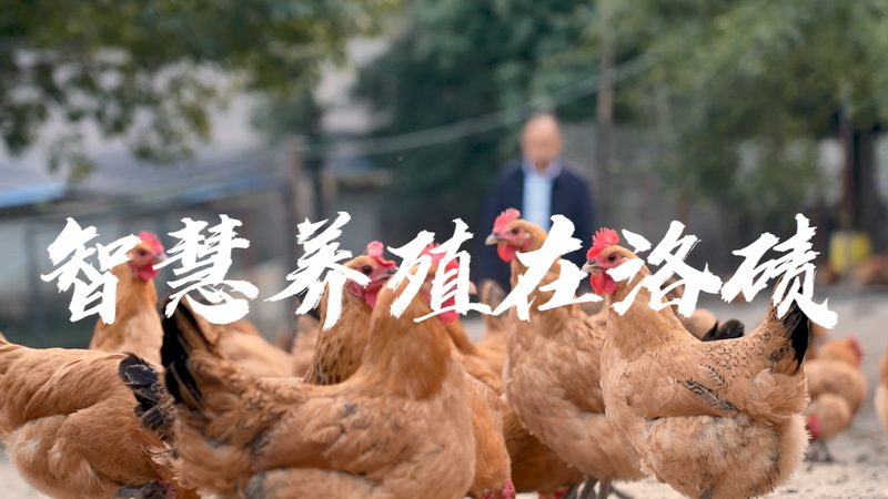 细胞治疗GMP车间建设的挑战与突破