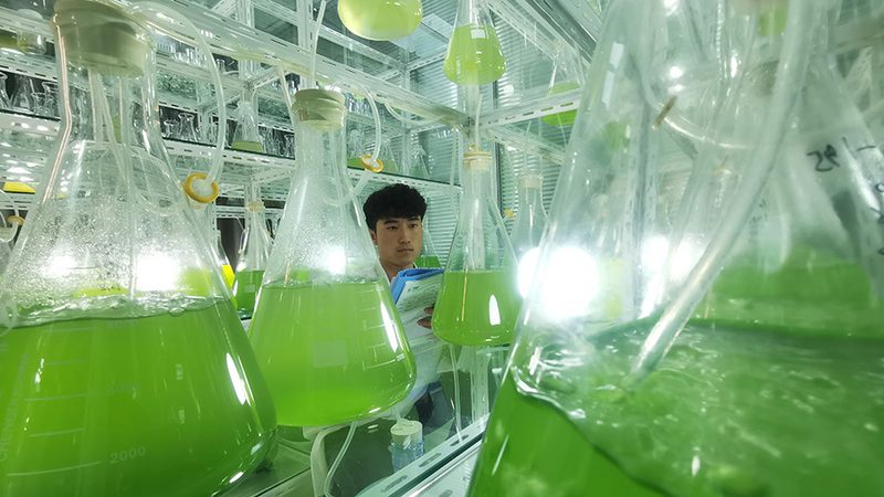 生物药CDMO厂房建设：规范背后的关键考量